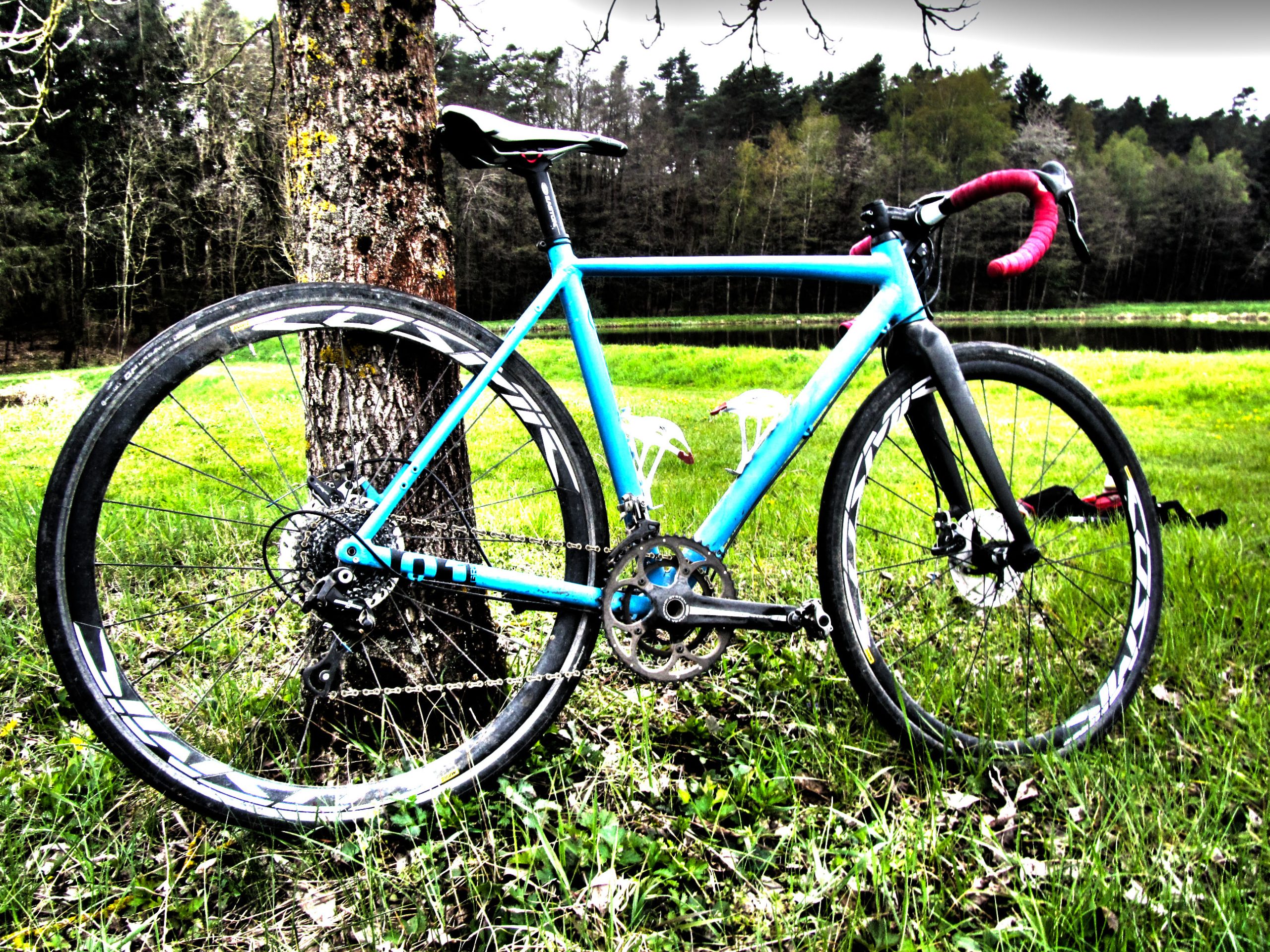 blaues bike am baum
