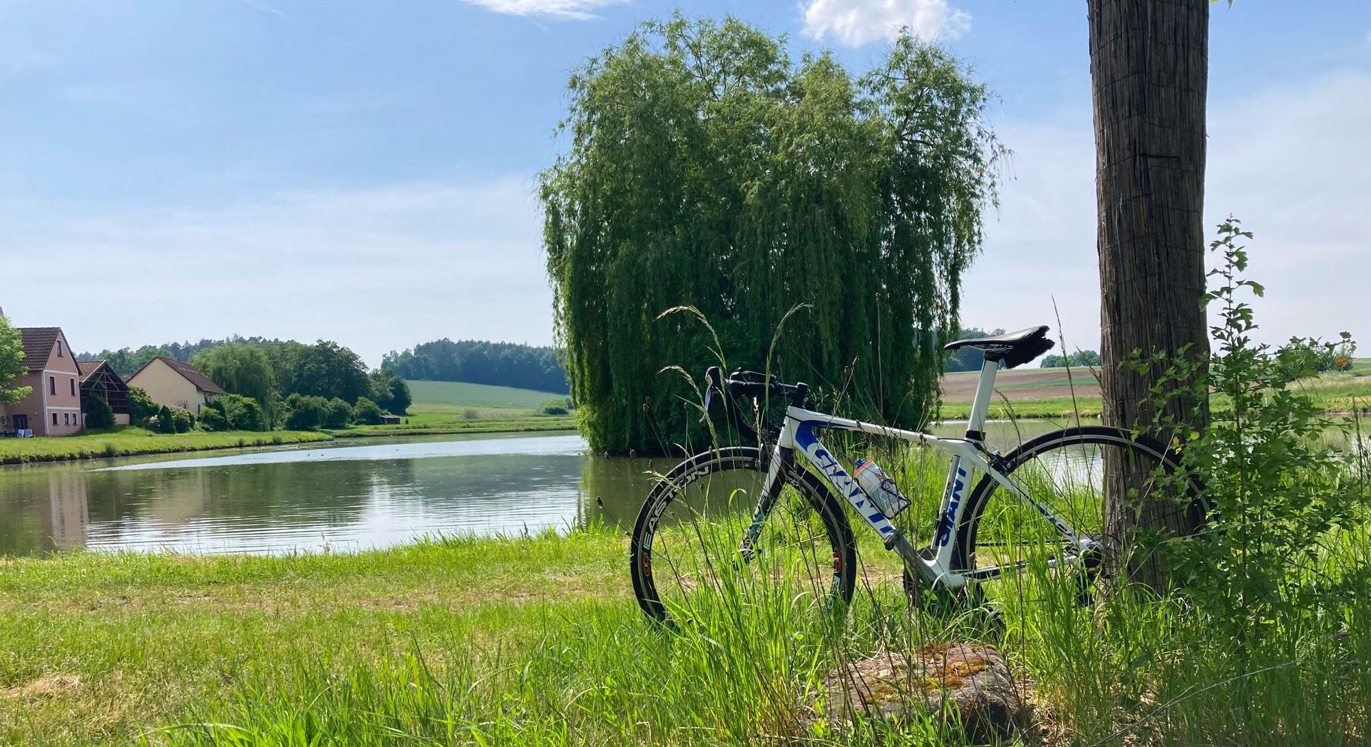 giant tcr steht an baum gelehnt vor einem weiher bei sonnenschein