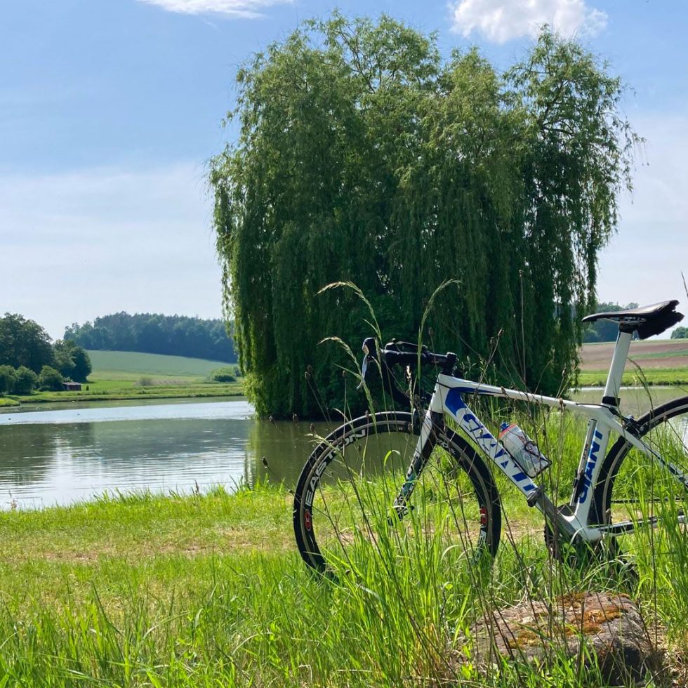 giant tcr steht an baum gelehnt vor einem weiher bei sonnenschein