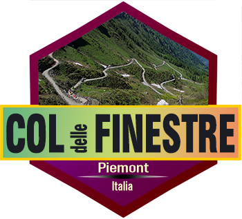 polygon signet finestre